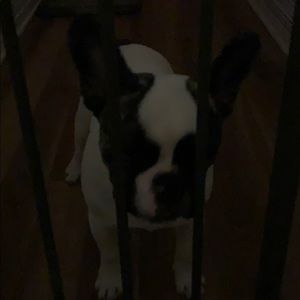 Meet your Posher, Jerardo